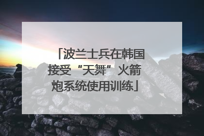 波兰士兵在韩国接受“天舞”火箭炮系统使用训练