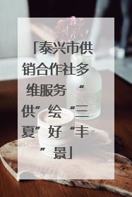 泰兴市供销合作社多维服务 “供”绘“三夏”好“丰”景