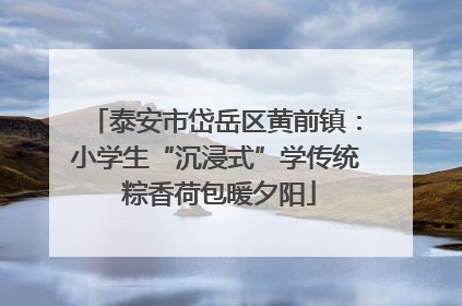 泰安市岱岳区黄前镇：小学生“沉浸式”学传统 粽香荷包暖夕阳