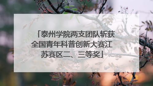 泰州学院两支团队斩获全国青年科普创新大赛江苏赛区二、三等奖