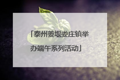 泰州姜堰娄庄镇举办端午系列活动