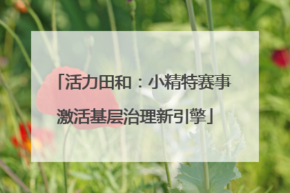 活力田和：小精特赛事激活基层治理新引擎
