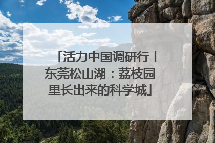 活力中国调研行丨东莞松山湖：荔枝园里长出来的科学城