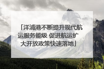 洋浦港不断提升现代航运服务能级 促进航运扩大开放政策快速落地