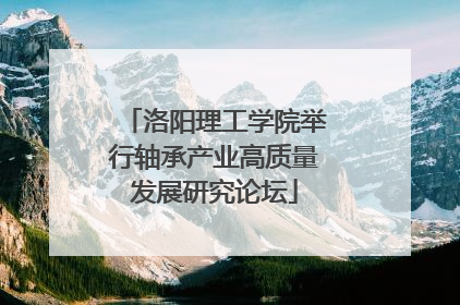 洛阳理工学院举行轴承产业高质量发展研究论坛