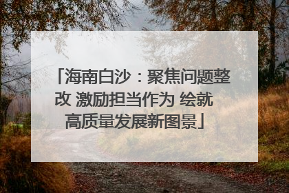海南白沙：聚焦问题整改 激励担当作为 绘就高质量发展新图景