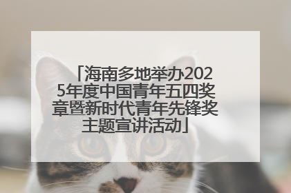 海南多地举办2025年度中国青年五四奖章暨新时代青年先锋奖主题宣讲活动