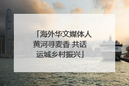 海外华文媒体人黄河寻麦香 共话运城乡村振兴