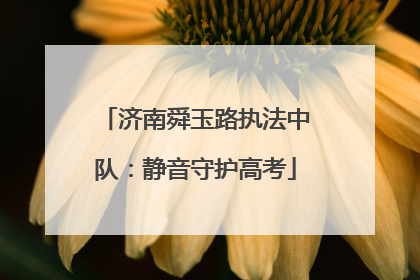 济南舜玉路执法中队：静音守护高考