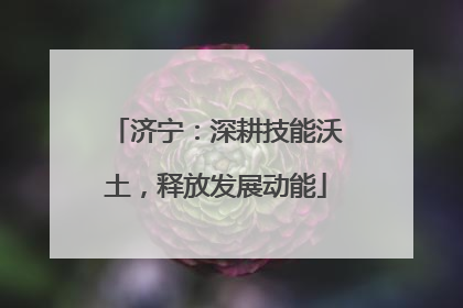 济宁：深耕技能沃土，释放发展动能