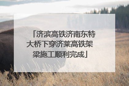 济滨高铁济南东特大桥下穿济莱高铁架梁施工顺利完成