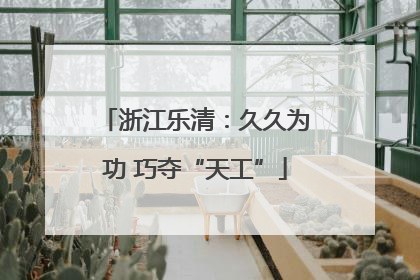浙江乐清：久久为功 巧夺“天工”