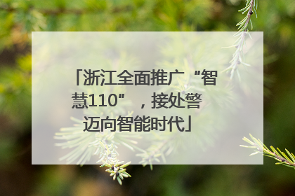 浙江全面推广“智慧110”，接处警迈向智能时代