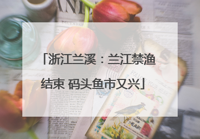 浙江兰溪：兰江禁渔结束 码头鱼市又兴