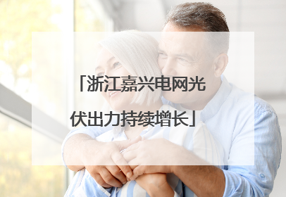 浙江嘉兴电网光伏出力持续增长