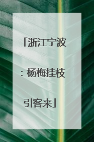 浙江宁波：杨梅挂枝引客来