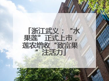 浙江武义：“水果莲”正式上市，莲农增收“致富果”注活力