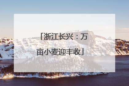浙江长兴：万亩小麦迎丰收