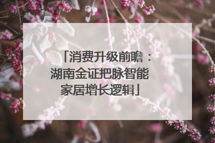 消费升级前瞻：湖南金证把脉智能家居增长逻辑
