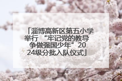淄博高新区第五小学举行 “牢记党的教导 争做强国少年”2024级分批入队仪式