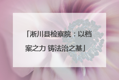 淅川县检察院：以档案之力 铸法治之基