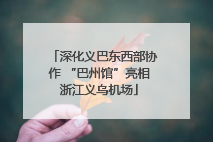 深化义巴东西部协作 “巴州馆”亮相浙江义乌机场