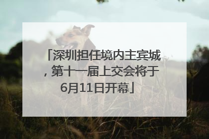 深圳担任境内主宾城，第十一届上交会将于6月11日开幕