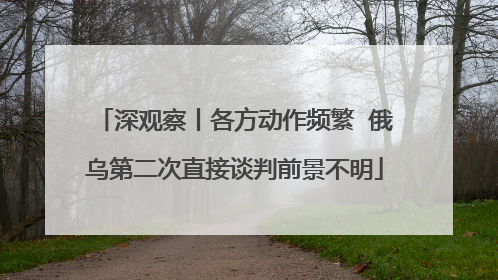 深观察丨各方动作频繁  俄乌第二次直接谈判前景不明