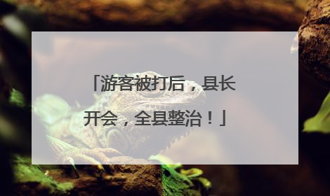 游客被打后，县长开会，全县整治！