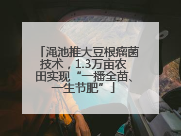 渑池推大豆根瘤菌技术，1.3万亩农田实现“一播全苗、一生节肥”