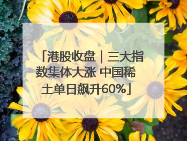 港股收盘｜三大指数集体大涨 中国稀土单日飙升60%