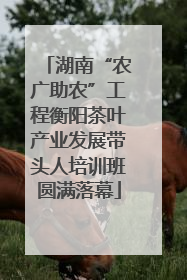 湖南“农广助农”工程衡阳茶叶产业发展带头人培训班圆满落幕