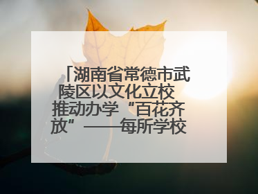 湖南省常德市武陵区以文化立校 推动办学“百花齐放”——每所学校都“精彩”