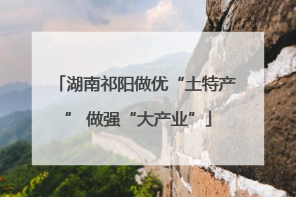 湖南祁阳做优“土特产” 做强“大产业”