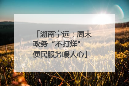 湖南宁远：周末政务“不打烊” 便民服务暖人心
