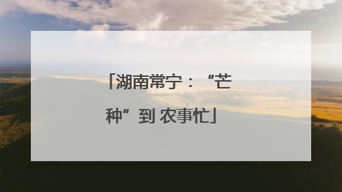 湖南常宁：“芒种”到 农事忙