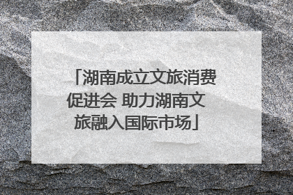 湖南成立文旅消费促进会 助力湖南文旅融入国际市场