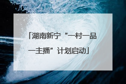 湖南新宁“一村一品一主播”计划启动
