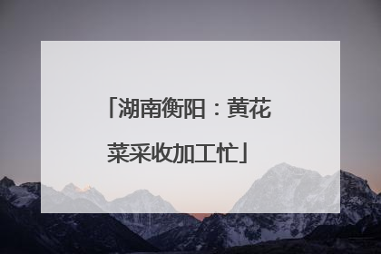 湖南衡阳：黄花菜采收加工忙