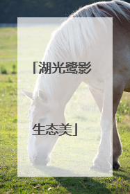 湖光鹭影生态美