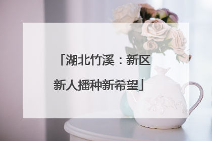 湖北竹溪：新区新人播种新希望