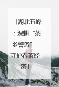 湖北五峰：深耕“茶乡警务” 守护春茶经济