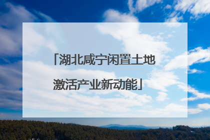 湖北咸宁闲置土地激活产业新动能