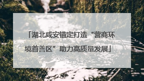 湖北咸安锚定打造“营商环境首善区”助力高质量发展