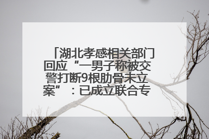 湖北孝感相关部门回应“一男子称被交警打断9根肋骨未立案”：已成立联合专班开展工作