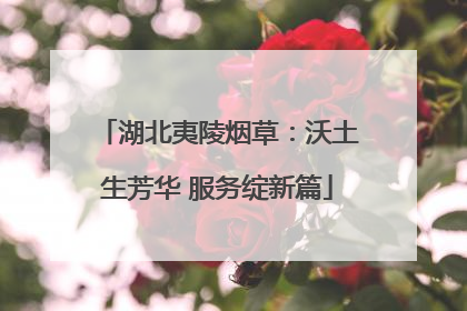 湖北夷陵烟草：沃土生芳华 服务绽新篇