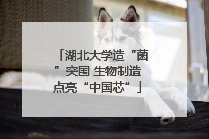 湖北大学造“菌”突围 生物制造点亮“中国芯”