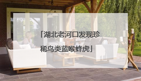 湖北老河口发现珍稀鸟类蓝喉蜂虎