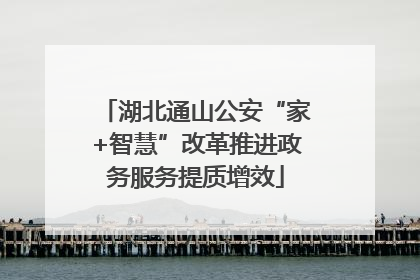 湖北通山公安“家+智慧”改革推进政务服务提质增效