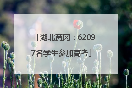湖北黄冈：62097名学生参加高考